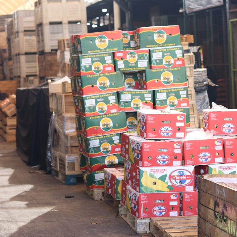 Boxes of fruit are stacked on pallets.